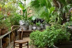 Bergs Potter Copenhagen Pot Grey, 16 Cm 11 Bergs Potter Copenhagen Pot Grey, 16 Cm -Grünblick Verkäufe bergs potter copenhagen pot grey 11