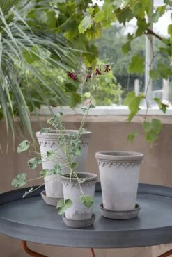 Bergs Potter Copenhagen Topf Grau, 12 Cm -Grünblick Verkäufe bergs potter copenhagen topf grau 5