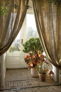 Bergs Potter Emilia Topf Rosa, 25 Cm 9 Bergs Potter Emilia Topf Rosa, 25 Cm -Grünblick Verkäufe bergs potter emilia topf rosa 2 3