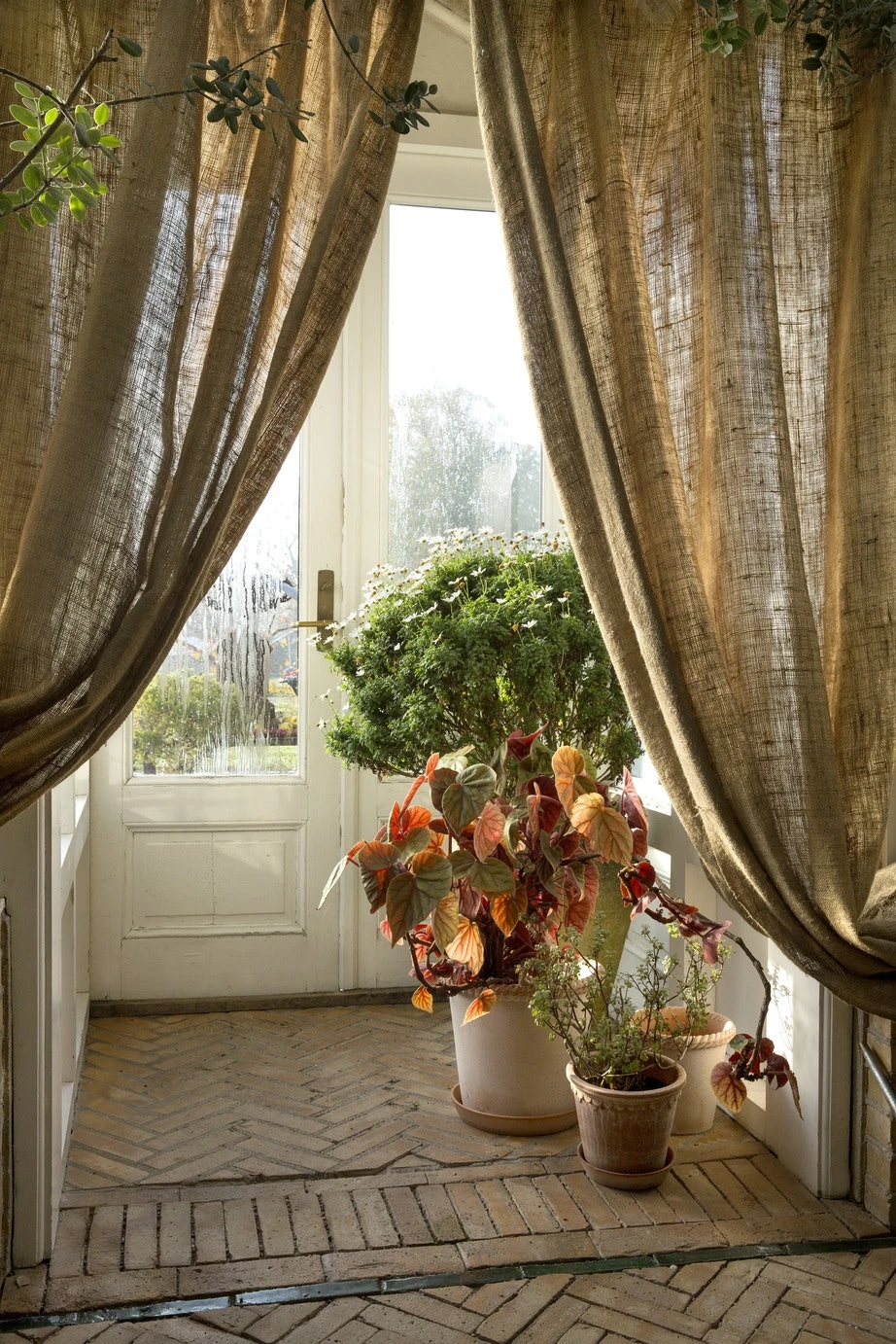 Bergs Potter Emilia Topf Rosa, 25 Cm 4 Bergs Potter Emilia Topf Rosa, 25 Cm – Bild 4