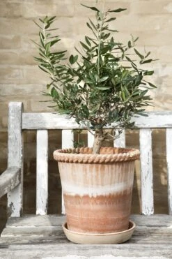 Bergs Potter Emilia Pot Rose Topf Rosa, 18 Cm -Grünblick Verkäufe bergs potter emilia topf rosa 3 4