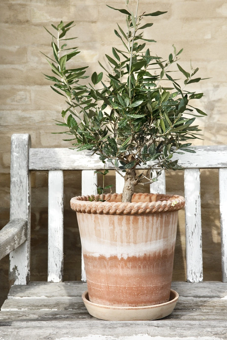 Bergs Potter Emilia Topf Rosa, 21 Cm 5 Bergs Potter Emilia Topf Rosa, 21 Cm – Bild 5