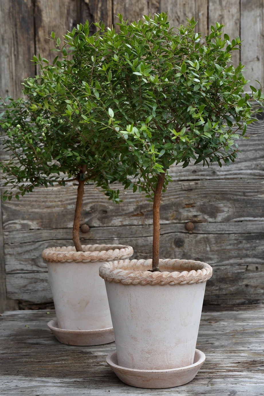 Bergs Potter Emilia Topf Rosa, 21 Cm 6 Bergs Potter Emilia Topf Rosa, 21 Cm – Bild 6