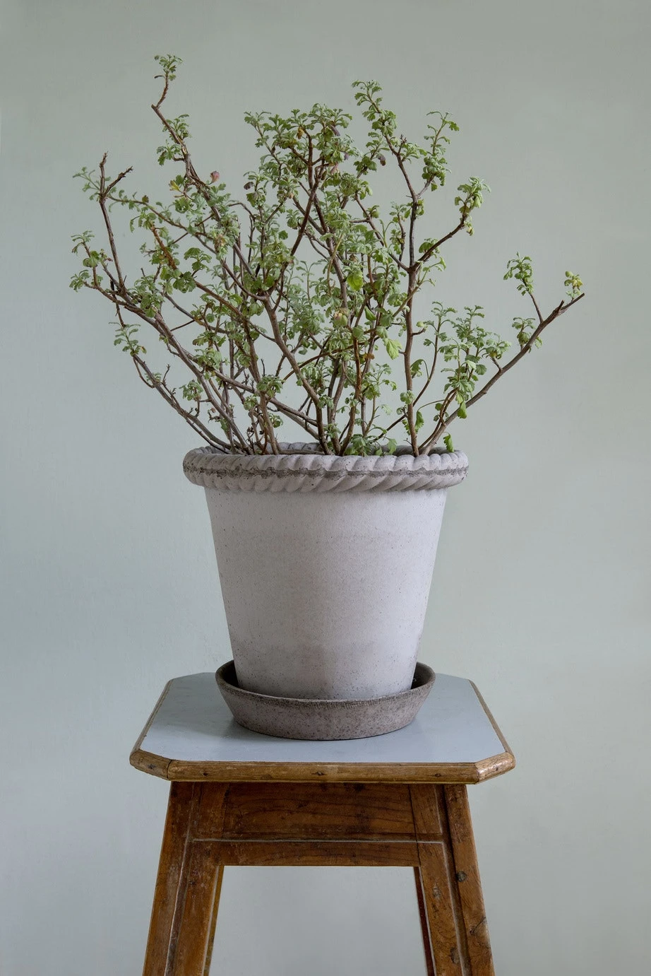 Bergs Potter Emilia Topf Grau, 35 Cm 3 Bergs Potter Emilia Topf Grau, 35 Cm – Bild 3