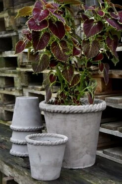 Bergs Potter Emilia Topf Grau, 35 Cm 9 Bergs Potter Emilia Topf Grau, 35 Cm -Grünblick Verkäufe bergs potter topf emilia grau 3