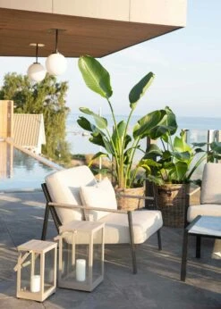 Brafab Lyra Sessel, Schwarz/Sand 11 Brafab Lyra Sessel, Schwarz/Sand -Grünblick Verkäufe brafab lyra armchair black with cushion 10