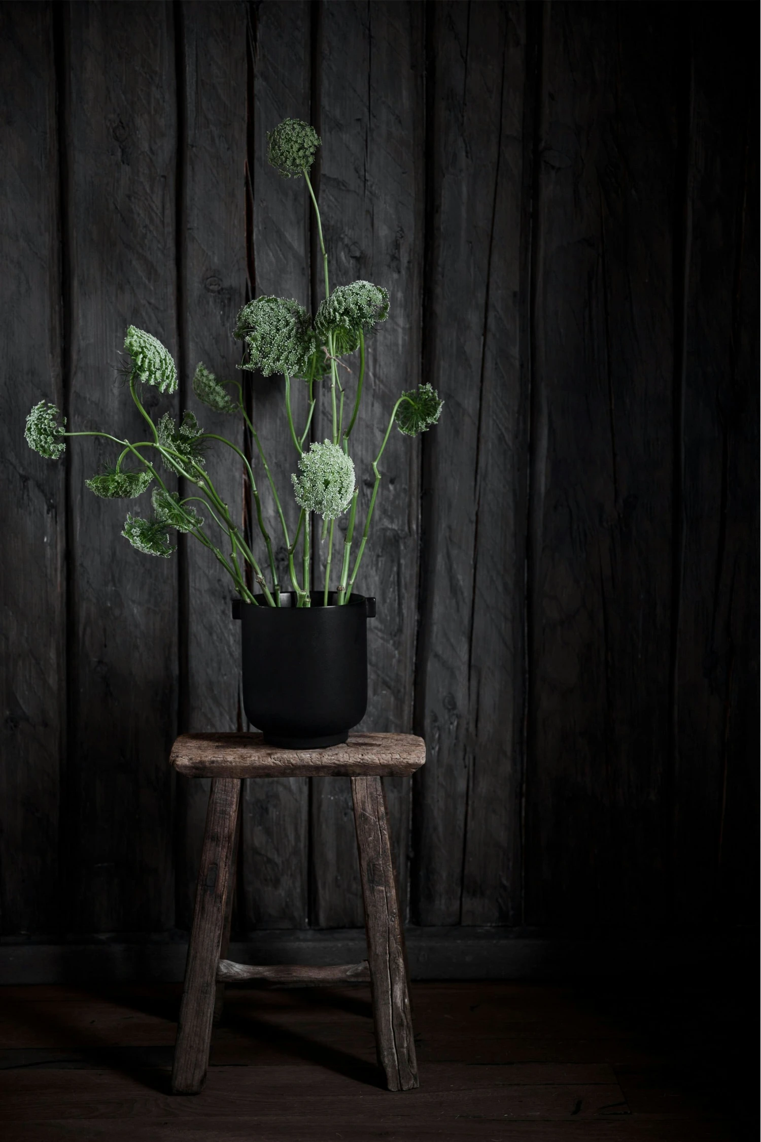 Ernst Blumentopf Mit Ohren H15 Cm, Schwarz 2 Ernst Blumentopf Mit Ohren H15 Cm, Schwarz – Bild 2