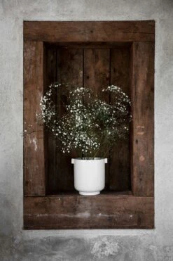 Ernst Topf Mit Ohren Ø19,5 H15 Cm, Sandfarben 5 Ernst Topf Mit Ohren Ø19,5 H15 Cm, Sandfarben -Grünblick Verkäufe ernst topf mit ohren sandfarben 1 1