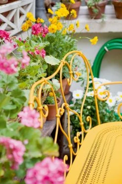 1900 Bank, Red Ochre -Grünblick Verkäufe fermob 1900 bank 2