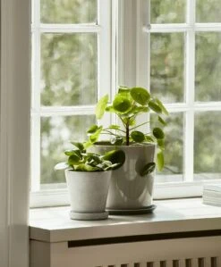 Hay Flowerpot Topf Mit Unterteller Grau, Ø21.5 Cm XL 11 Hay Flowerpot Topf Mit Unterteller Grau, Ø21.5 Cm XL -Grünblick Verkäufe hay blumentopf mit untersetzer grau 10 1