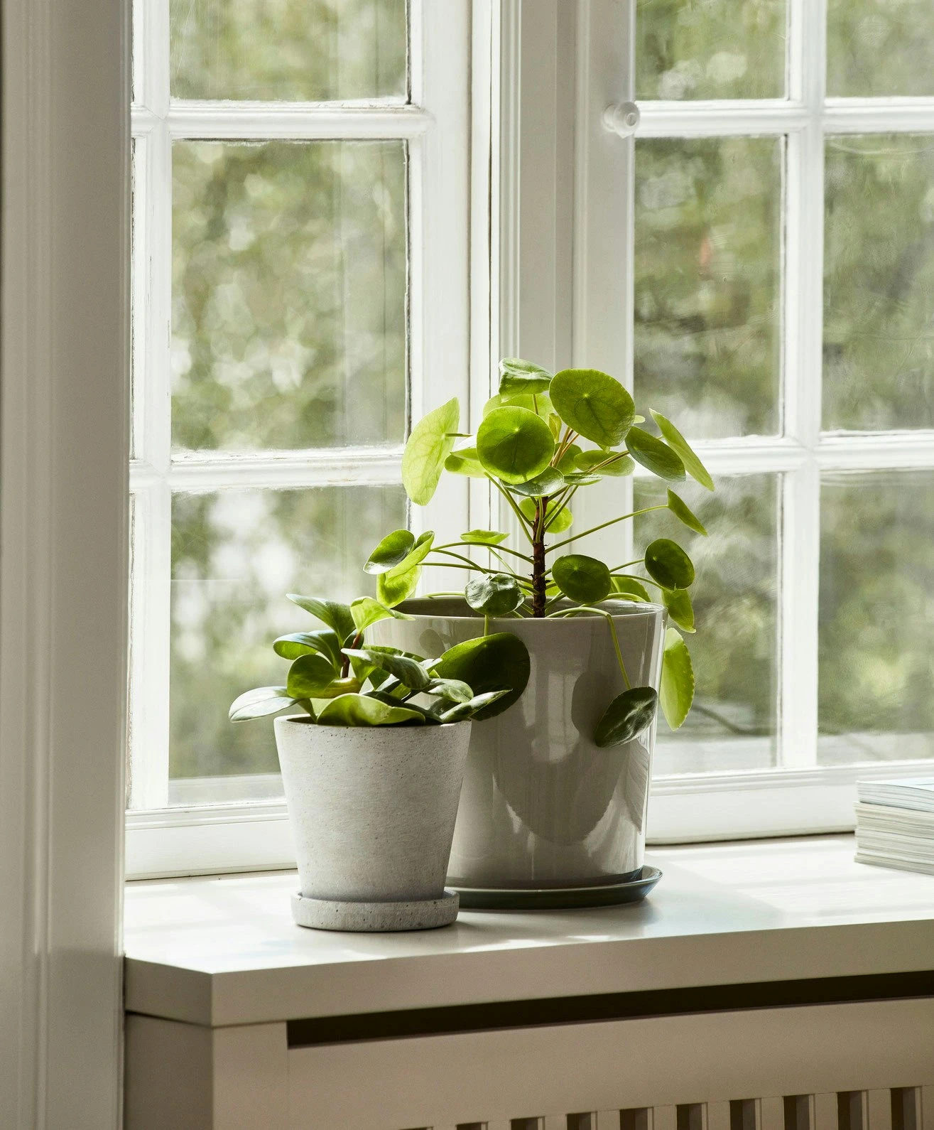 Hay Flowerpot Topf Mit Unterteller Grau, Ø11 Cm S 6 Hay Flowerpot Topf Mit Unterteller Grau, Ø11 Cm S – Bild 6