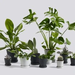 Hay Flowerpot Topf Mit Unterteller Grau, Ø11 Cm S 9 Hay Flowerpot Topf Mit Unterteller Grau, Ø11 Cm S -Grünblick Verkäufe hay blumentopf mit untersetzer grau 3