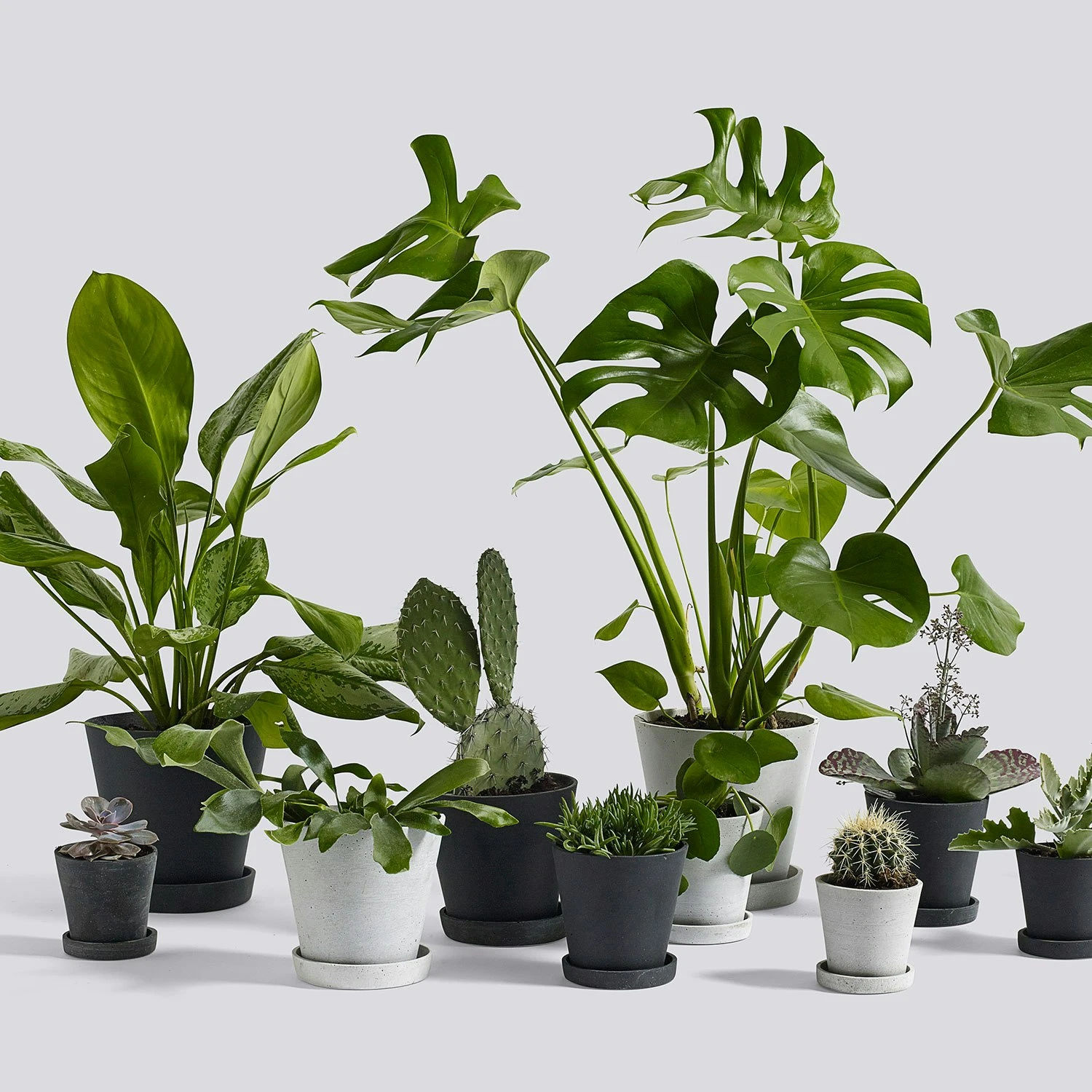 Hay Flowerpot Topf Mit Unterteller Schwarz, Ø21.5 Cm XL 2 Hay Flowerpot Topf Mit Unterteller Schwarz, Ø21.5 Cm XL – Bild 2