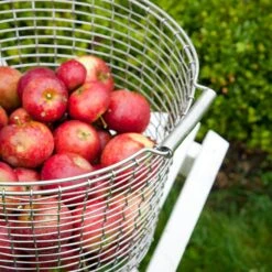 Korbo Eimer 24 Korb, Säurebeständig Rostfrei -Grünblick Verkäufe korbo eimer 16 korb saurebestandig rostfrei 11