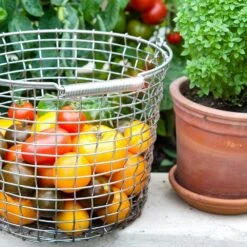 Korbo Eimer 16 Korb, Säurebeständig Rostfrei 9 Korbo Eimer 16 Korb, Säurebeständig Rostfrei -Grünblick Verkäufe korbo eimer 16 korb saurebestandig rostfrei 4