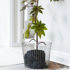 Korbo Klassisch 50 Korb, Verzinkt -Grünblick Verkäufe korbo klassisch 24 korb verzinkt 13