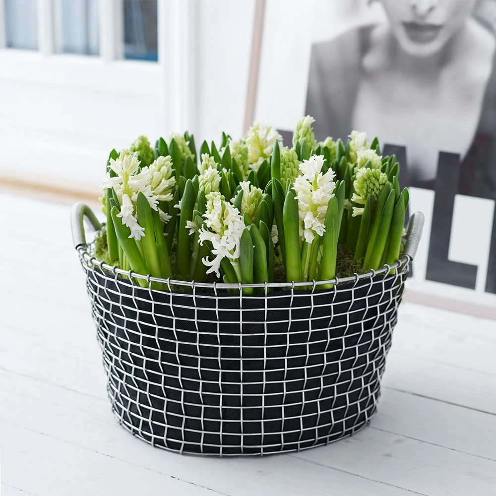 Korbo Pflanzensack 35l, 3 Stk. 2 Korbo Pflanzensack 35l, 3 Stk. – Bild 2