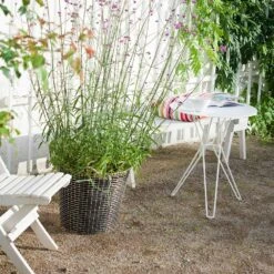 Korbo Pflanzensack 65l, 3 Stk. 7 Korbo Pflanzensack 65l, 3 Stk. -Grünblick Verkäufe korbo pflanzensack 65l 3 stk 3