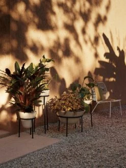 Menu Daiza Übertopf Ivory, Ø25x65 Cm 7 Menu Daiza Übertopf Ivory, Ø25x65 Cm -Grünblick Verkäufe menu daiza planter h35 25 ivory 10