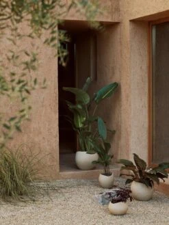 Menu Plantas Übertopf Ivory, 24 Cm 3 Menu Plantas Übertopf Ivory, 24 Cm -Grünblick Verkäufe menu plantas planter h 17 ivory 12