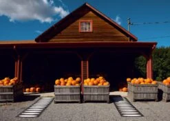 Ella Matte 70x225 Cm, Black/Vanilla 6 Ella Matte 70x225 Cm, Black/Vanilla -Grünblick Verkäufe pappelina ella matte 70x225 cm black vanilla 2 2