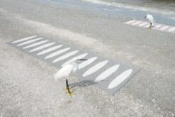 Ella Matte 70x225 Cm, Black/Vanilla 7 Ella Matte 70x225 Cm, Black/Vanilla -Grünblick Verkäufe pappelina ella matte 70x225 cm black vanilla 3 2