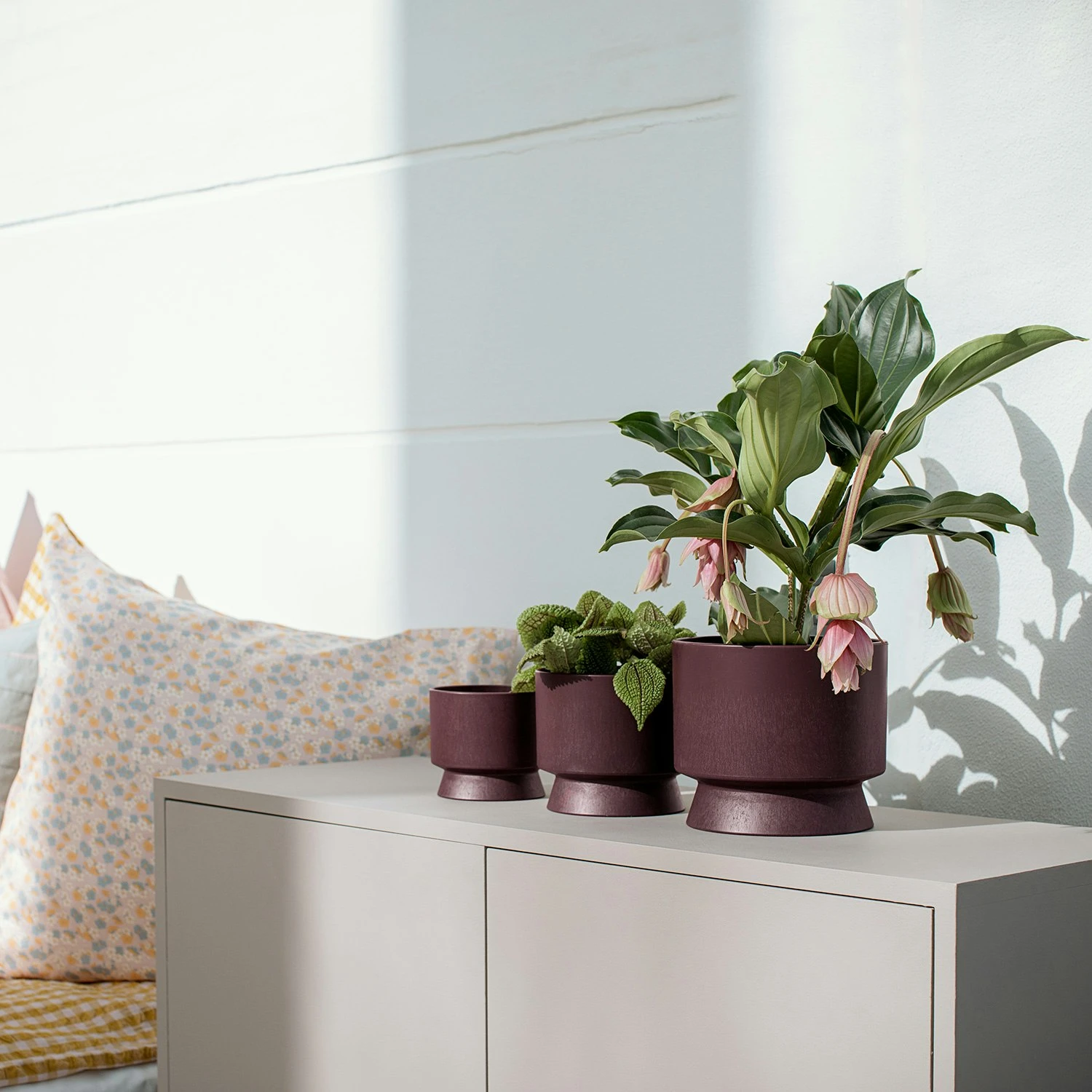 Ro Topf Bordeaux, 15 Cm 2 Ro Topf Bordeaux, 15 Cm – Bild 2