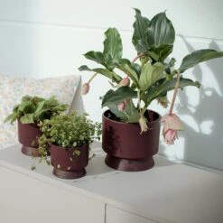 Ro Topf Bordeaux, 15 Cm 6 Ro Topf Bordeaux, 15 Cm -Grünblick Verkäufe rosendahl copenhagen ro topf bordeaux 2 1