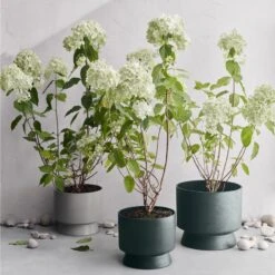 Ro Topf Dunkelgrün, Ø15 Cm -Grünblick Verkäufe rosendahl copenhagen ro topf dunkelgrun 14 1