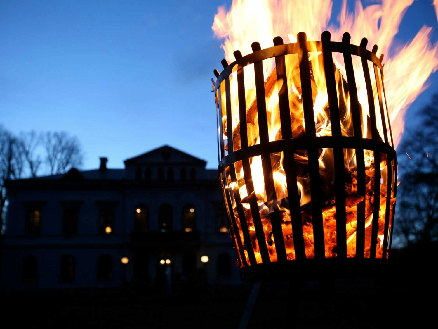 Feuerkorb Baron, Unbehandeltes Eisen 2 Feuerkorb Baron, Unbehandeltes Eisen – Bild 2