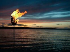 Feuerkorb Original, Ungebürstetes Stahl 11 Feuerkorb Original, Ungebürstetes Stahl -Grünblick Verkäufe roshults feuerkorb original ungeburstetes stahl 5