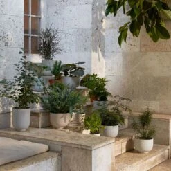 &Tradition Collect SC69 Übertopf Ø12x13 Cm, Slate 9 &Tradition Collect SC69 Übertopf Ø12x13 Cm, Slate -Grünblick Verkäufe tradition collect ubertopf sc69 dia12 x h13 cm 4