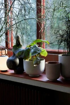 &Tradition Collect Übertopf Ø20x24 Cm, Ocker 10 &Tradition Collect Übertopf Ø20x24 Cm, Ocker -Grünblick Verkäufe tradition collect ubertopf sc72 dia20 x h24 cm 2