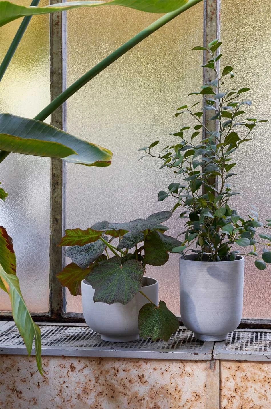 &Tradition Collect Übertopf Ø20x24 Cm, Ocker 6 &Tradition Collect Übertopf Ø20x24 Cm, Ocker – Bild 6